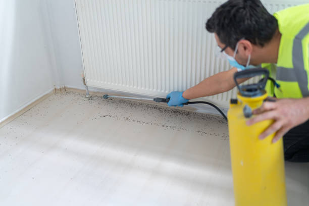 Best Emergency Pest Control  in Unionville, GA