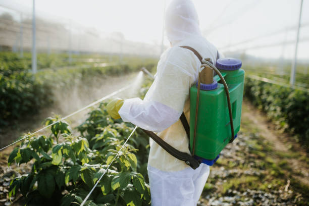 Best Ant Control Services  in Unionville, GA